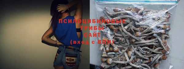 хмурый Богородицк