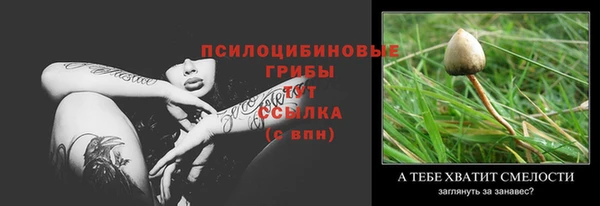 хмурый Богородицк