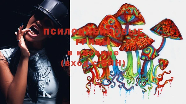 хмурый Богородицк